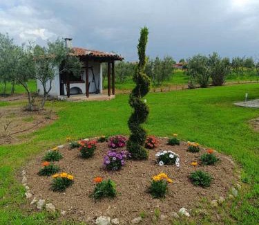 Nea Propontida Villa | Gaia Olives Villa