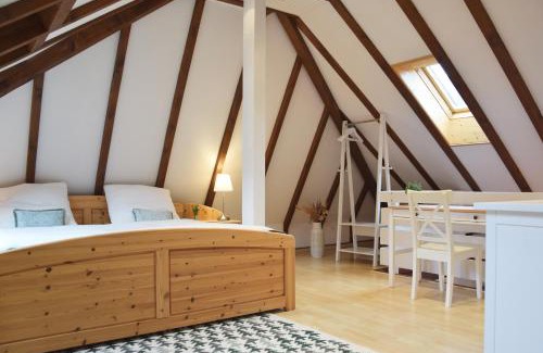 Todtmoos Apartment | Galeriewohnung mit Blick in den Schwarzwald