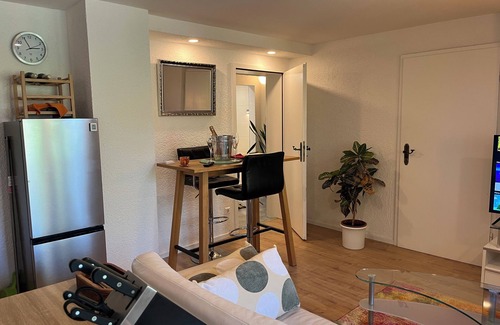 Schollbronn Apartment | Garden apartment in the Black Forest