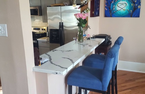 Faubourg Delassize Apartment | Garden District apartment 1/2 block from parade route/historic St Charles Ave