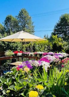 Saanich West House | Garden home in Victoria -Beautiful home in Victoria