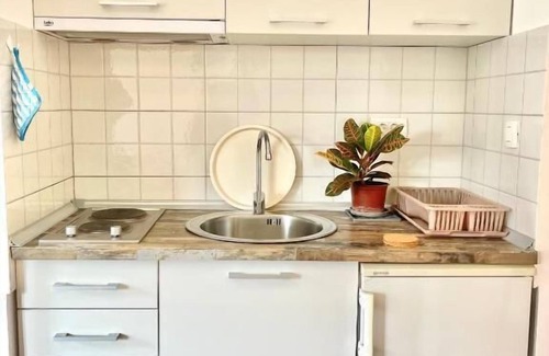 Centar Apartment | Garden House Budva