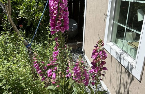Martinez Apartment | Garden Studio 5 minutes to downtown