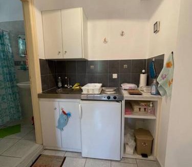 Paralia Agias Fotinis Apartment | Gardens