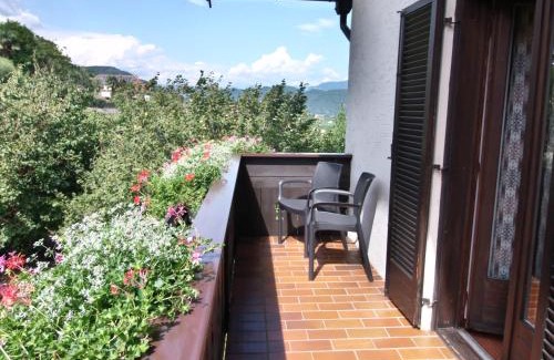 Termeno Sulla Strada del Vino House | Garni Runggner Traubenhof