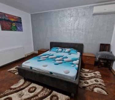 Tirgu Jiu Apartment | GARSONIERA ÎN REGIM HOTELIER
