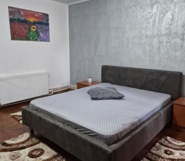 Tirgu Jiu Apartment | GARSONIERA ÎN REGIM HOTELIER