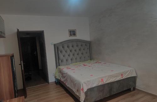 Galati Apartment | Garsoniera țiglina 1