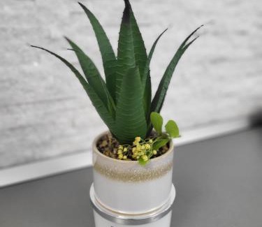 Saturn Apartment | Garsoniera Ady