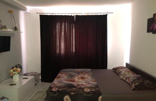 Baile Herculane Apartment | Garsoniera Aleea Trandafirilor