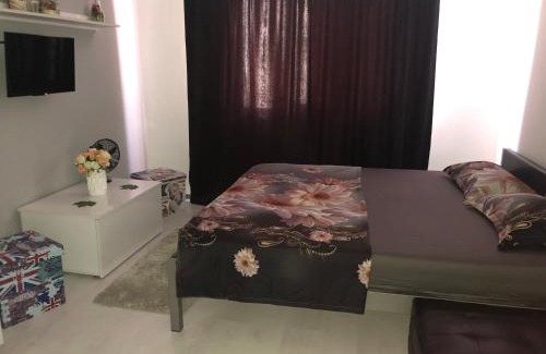 Baile Herculane Apartment | Garsoniera Aleea Trandafirilor