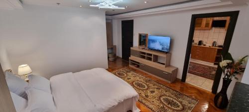 Otopeni Apartment | Garsoniera central Otopeni