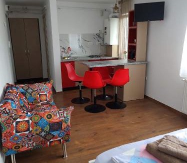 Tirgu Ocna Apartment | GARSONIERA DANIA&PETRU
