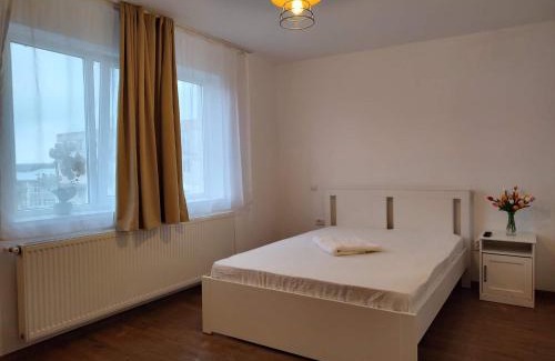 Tirgu Ocna Apartment | GARSONIERA DANIA&PETRU
