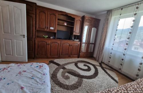 Campulung Moldovenesc Apartment | Garsoniera Emilia
