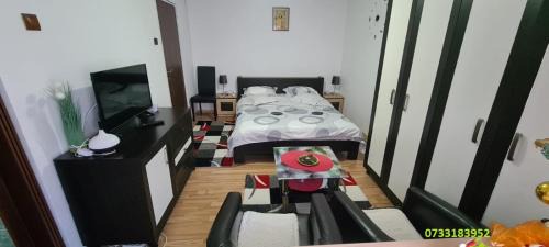 Petrosani Apartment | Garsoniera in regim hotelier "Raul"