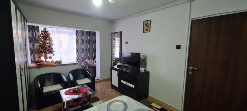 Petrosani Apartment | Garsoniera in regim hotelier "Raul"