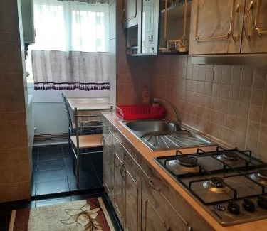 Slanic-Moldova Apartment | Garsoniera MAIA Slănic-Moldova