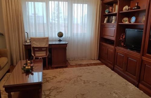 Petrosani Apartment | Garsoniera Mihaela