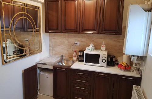Petrosani Apartment | Garsoniera Mihaela