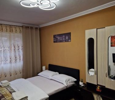 Baile Herculane Apartment | Garsoniera