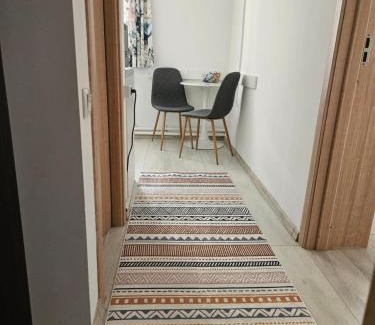 Ramnicu Valcea Apartment | Garsoniera