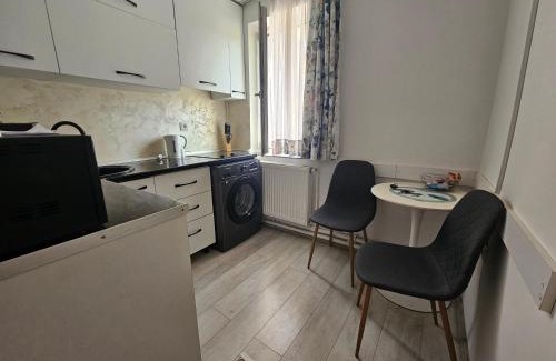 Ramnicu Valcea Apartment | Garsoniera