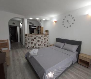 Galati Apartment | Garsoniera tiglina1