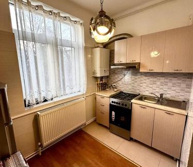 Bacau Apartment | Garsoniera ultracentral