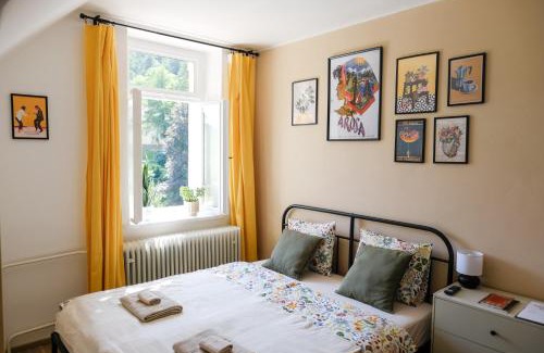 Luhacovice Apartment | Garsonka - Luhačovice