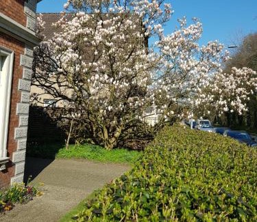 Haarentor Apartment | Gartenblick
