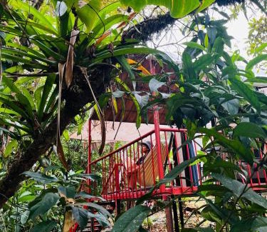 Katira Other | Garza del Sol Glamping Bromelia