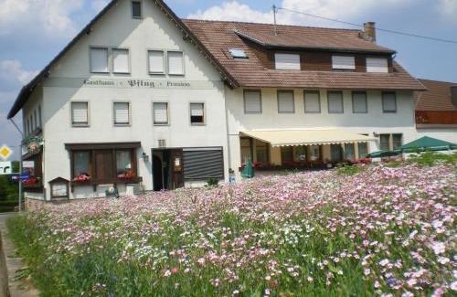 Aichhalden Hotel | Gasthaus Pflug