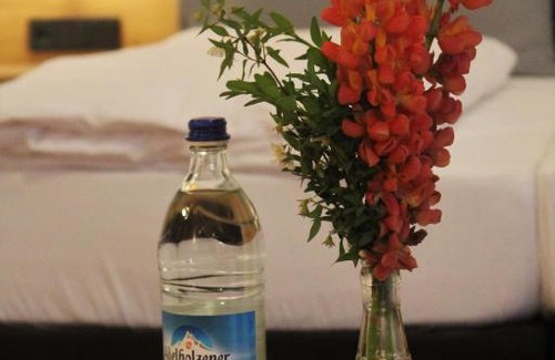 Bauerbach Hotel | Gasthaus Steidl
