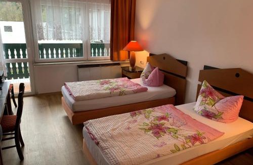 Luisenthal Apartment | Gasthaus und Pension Zur Libelle