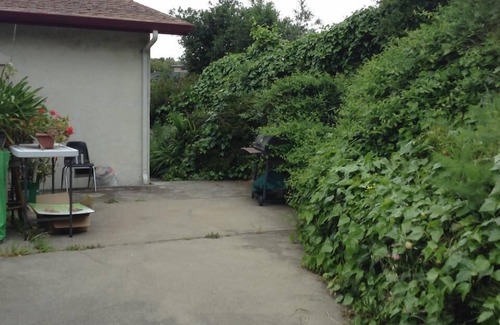 Richmond House | Gated Fenced Like a Mansion, Walk to Everything