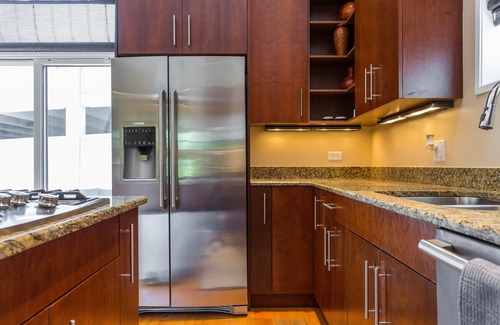Lake Meadows House | Gather, relax, enjoy— in chic luxury home near Lake Michigan & McCormick Center