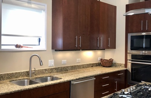 Lake Meadows House | Gather, relax, enjoy— in chic luxury home near Lake Michigan & McCormick Center