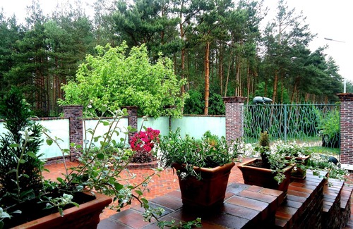 Sulmin Apartment | Gdansk close, right in nature