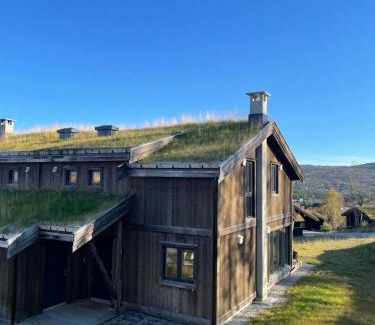Geilo House | Geilo - Ny og flott hytte på budalstølen