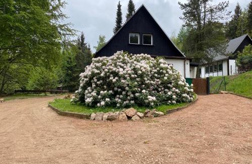 Geising House | Geisingblick