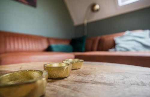 Zwiggelte House | Gekraagde Roodstaart I Bungalow met Fijne Groene Tuin
