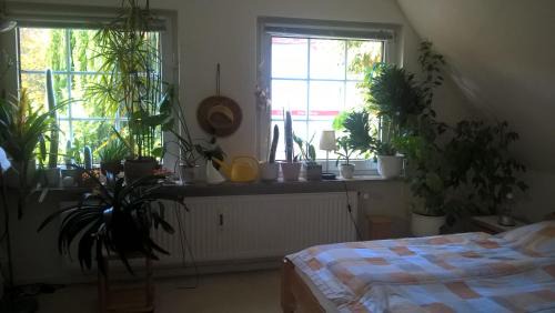 Heimfeld Apartment | Gemütl. Ferienwohnung und Privatzimmer