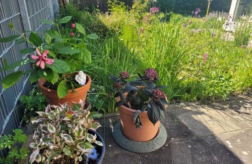Baltringen House | Gemütliche 4-Zimmer Wohnung mit Garten