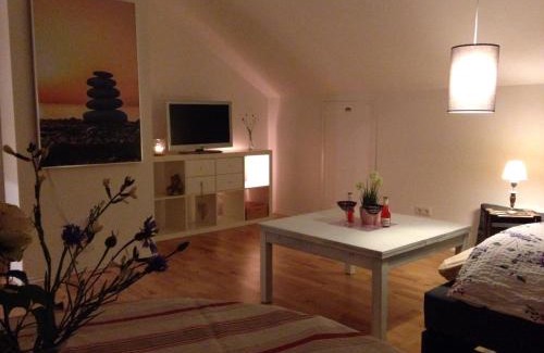 Salzhausen Apartment | Gemütliche, großzügige Ferienwohnung