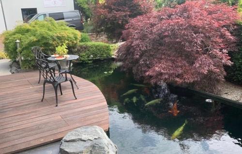 Ruedesheim am Rhein Apartment | Gemütliche Wohnung in Ortsrandlage