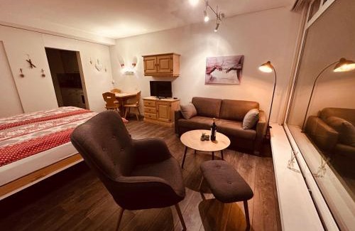Meierhof Apartment | Gemütliches Alpenstudio mitten in Davos perfekt angebunden, extrem ruhig und ideal als Rückzugsort für Entspannung, sportliche Aktivitäten oder ein entspanntes Wochenende