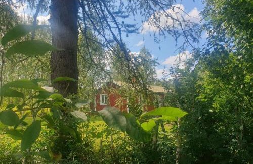 Ramsele Apartment | gemütliches Ferienhaus - Höga Kusten Region