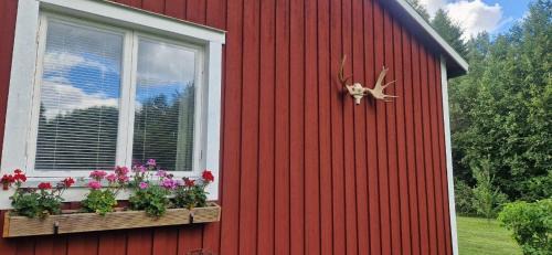 Ramsele Apartment | gemütliches Ferienhaus - Höga Kusten Region