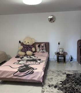 Macin House | Gemini house